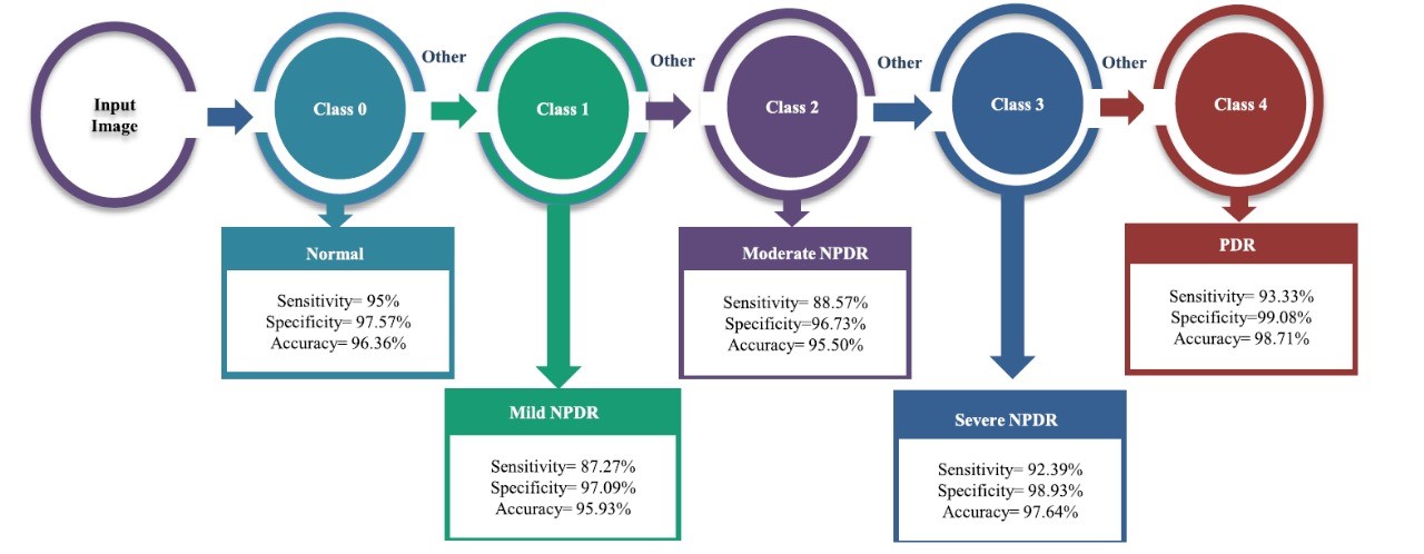 Early diagnosis of diabetic retinopathy from fundus image exploiting deep features