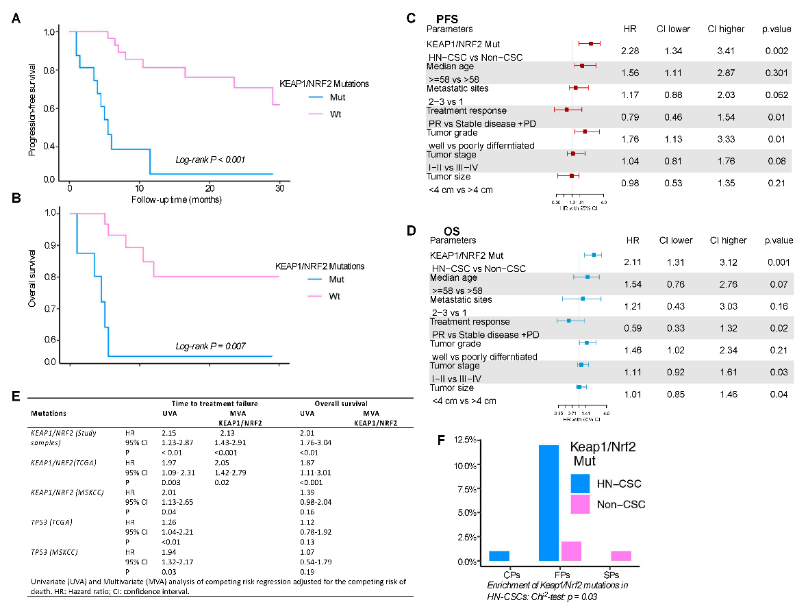 KEAP1/NRF2 Mutations in Stem Cells Define an Aggressive Subset of Head and Neck Cancer Patients Who Have a Poor Prognosis, Lung Metastasis, and Therapeutic Failure