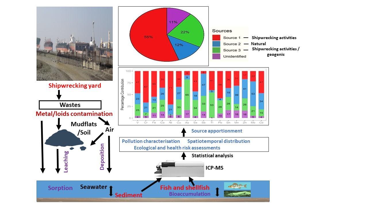Effects of shipwrecks on spatiotemporal dynamics of metal/loids in sediments and seafood safety in the Bay of Bengal