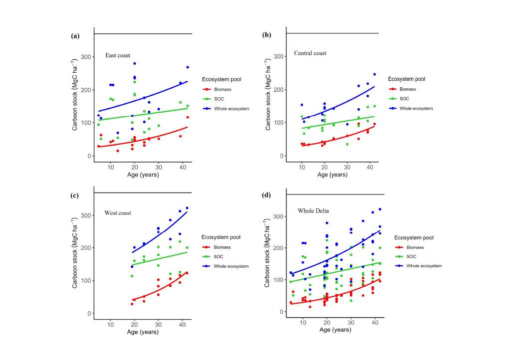Importance of mangrove plantations for climate change mitigation in Bangladesh